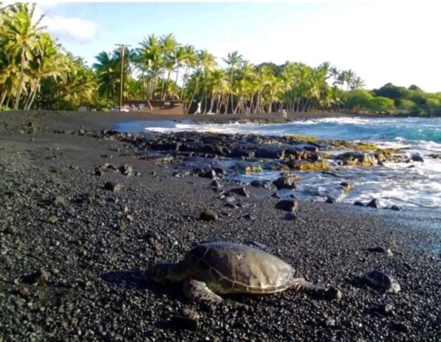 Апартаменты Kilauea Iki- Hale Kumu La'Au Волкано Экстерьер фото