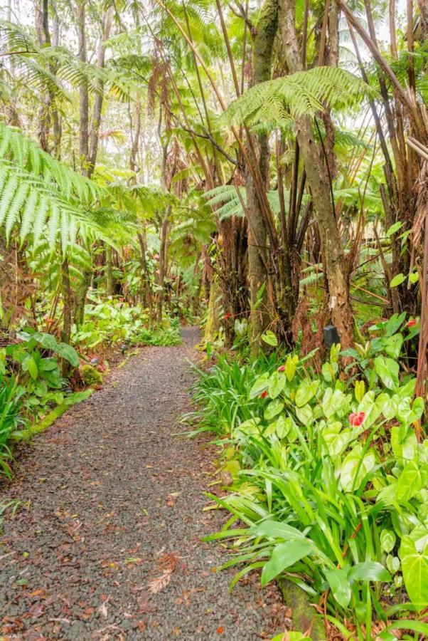 Апартаменты Kilauea Iki- Hale Kumu La'Au Волкано Экстерьер фото